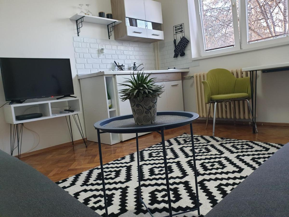 Apartman Park Jagodina-Studio U Centru Grada Luaran gambar